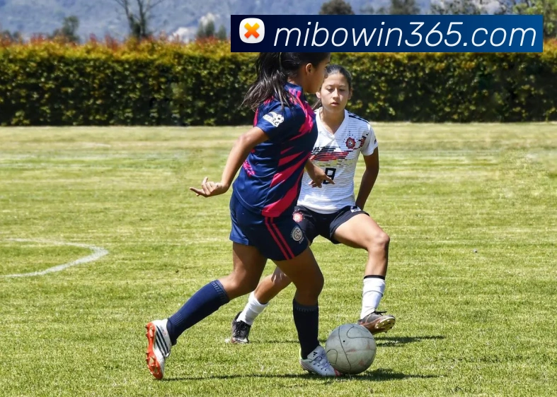 米博app品牌故事