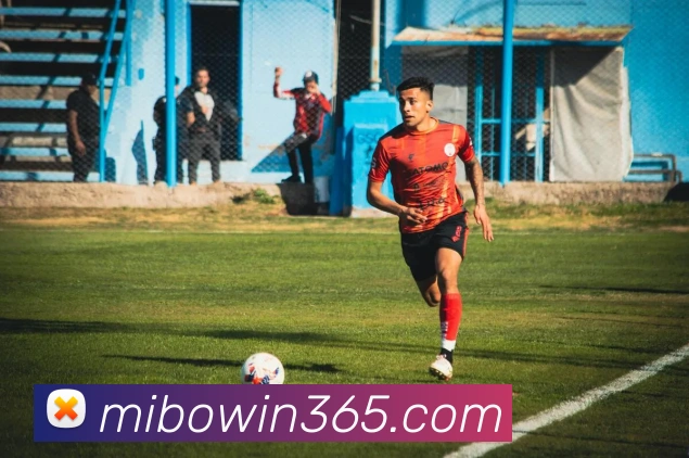 米博app服务体系